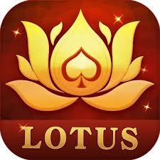 playing rummy rummy noble download